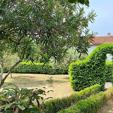 Вилла Valica Gardens Савудрия Экстерьер фото
